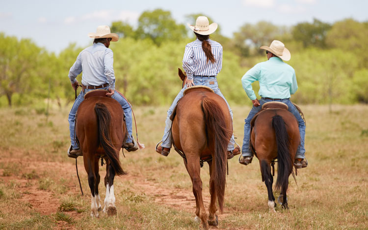 Two cowboys and a cowgirl, Jenna Paulette, riding off into the sunset.